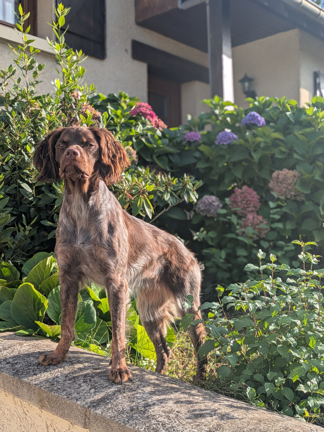 Unaïa Du Petit Bois De Royka